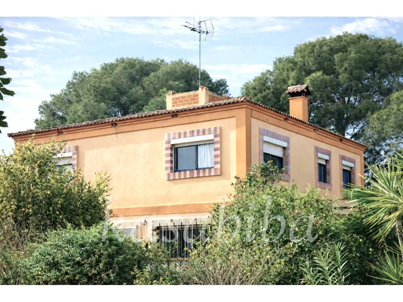 Vista exterior de Casa o chalet en venta en Náquera con Jardín privado, Terraza y Piscina