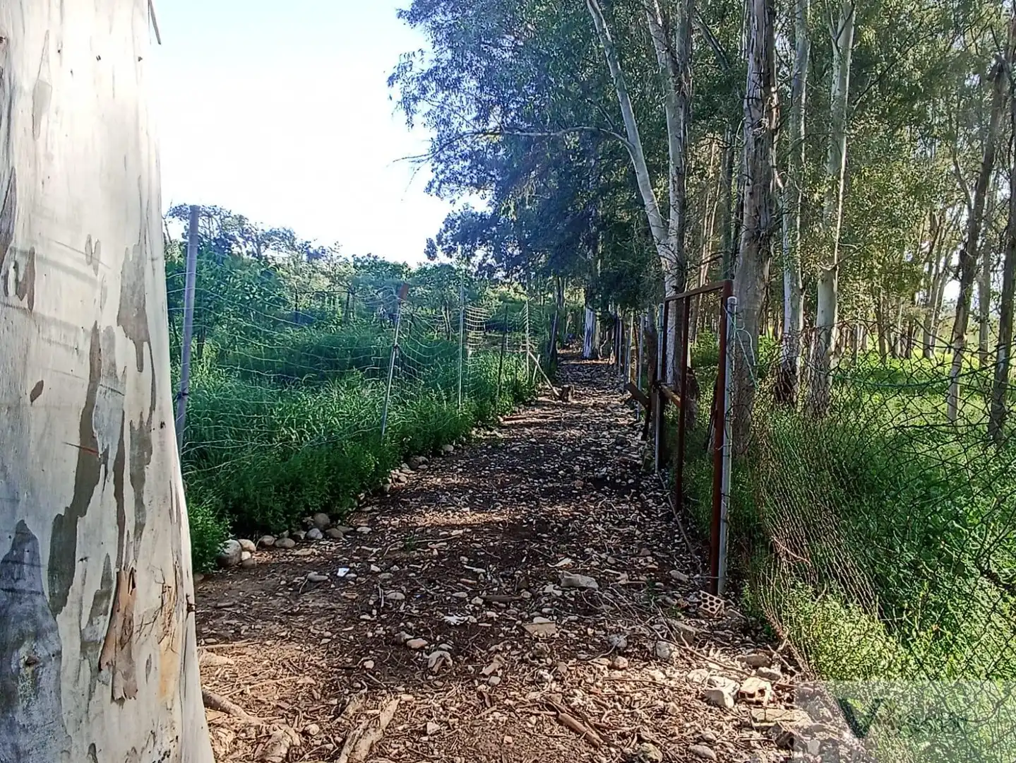 Casa rústica en venda a Bornos, imagen 14