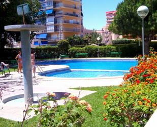 Piscina de Apartament de lloguer en El Campello