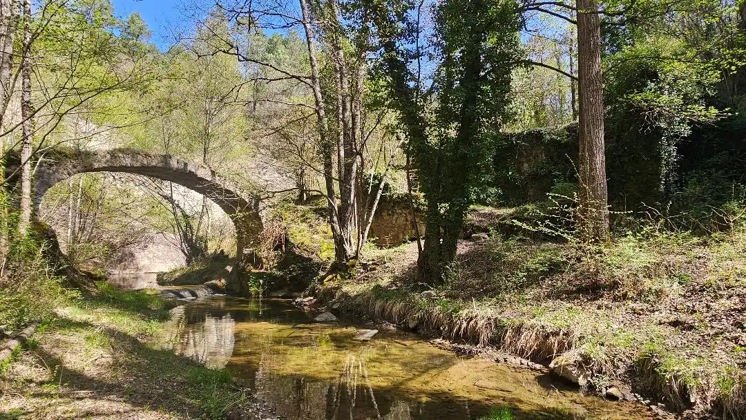 Vista exterior de Finca rústica en venta en Borredà con Jardín privado