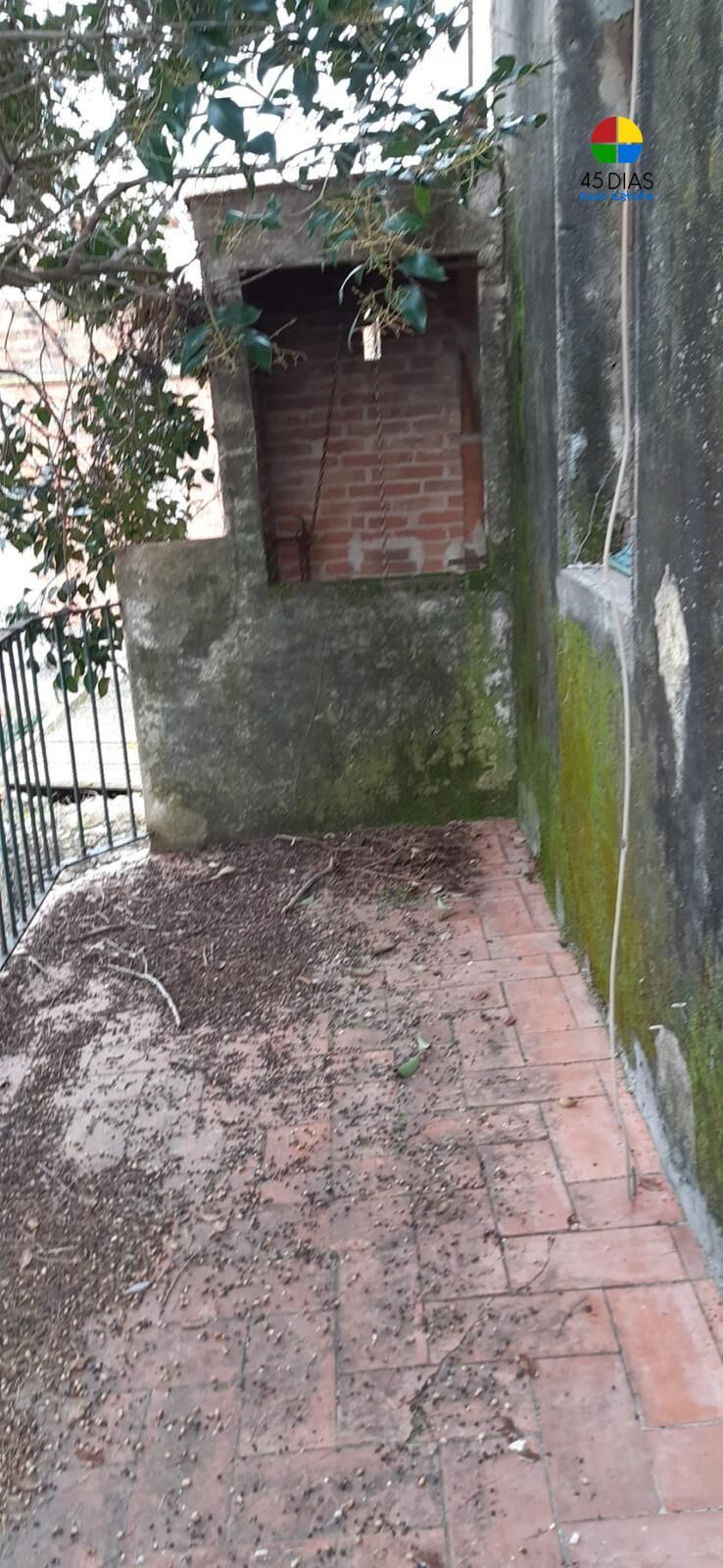 Garden of Country house for sale in Vilabella