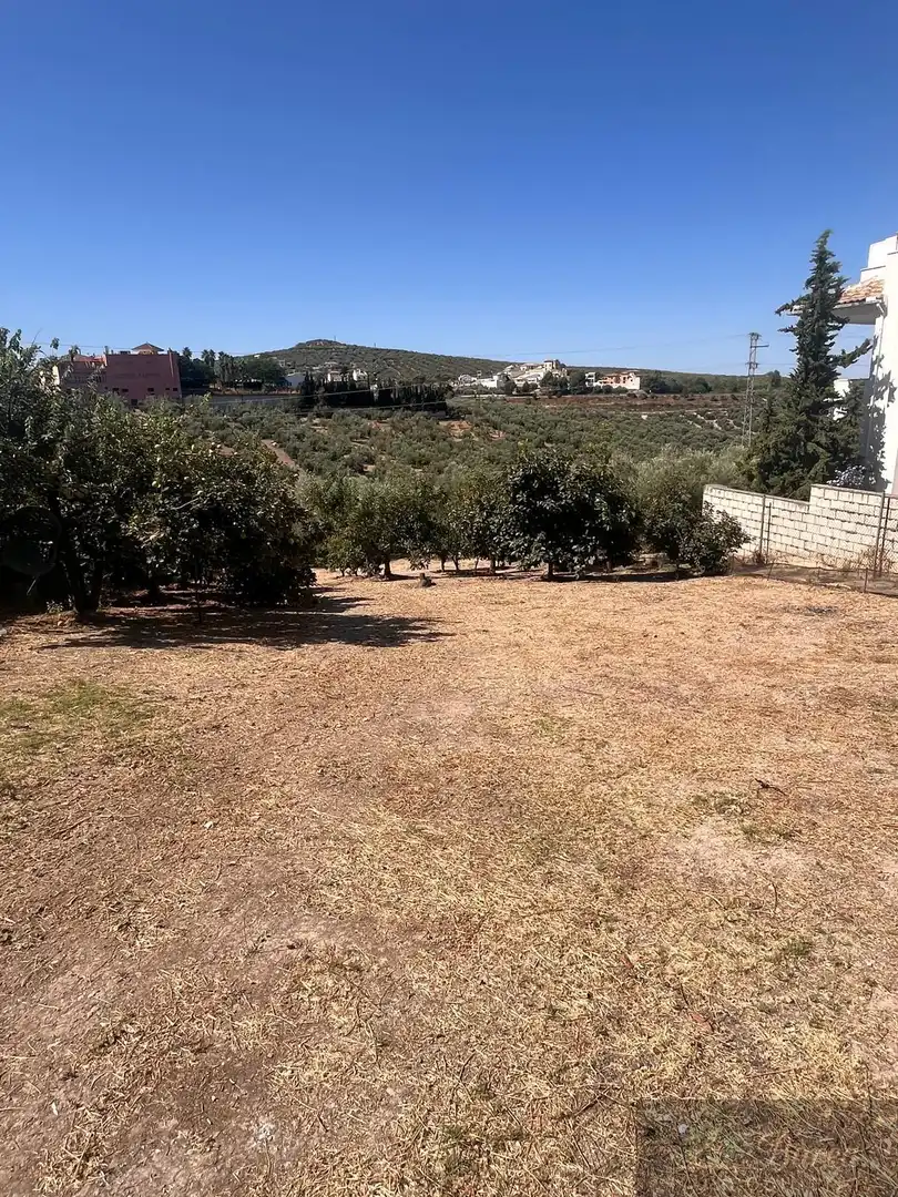 Casa rustica in vendita a Rute, imagen 9