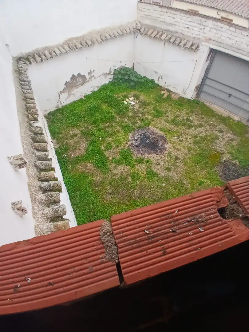 Haus mit Garten zum Verkauf in Calle Monte, imagen 22