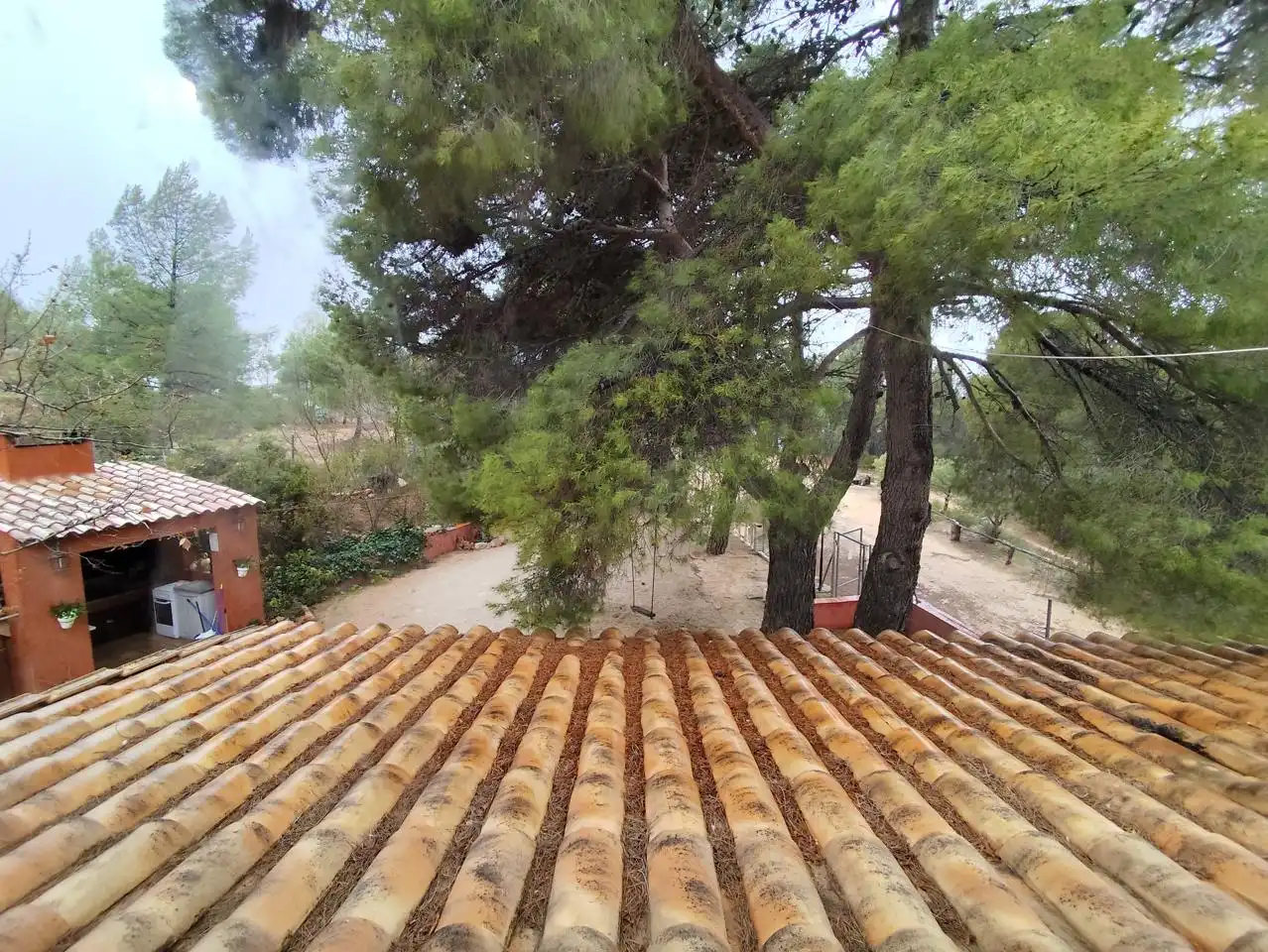 Country homes for rent in Ibi