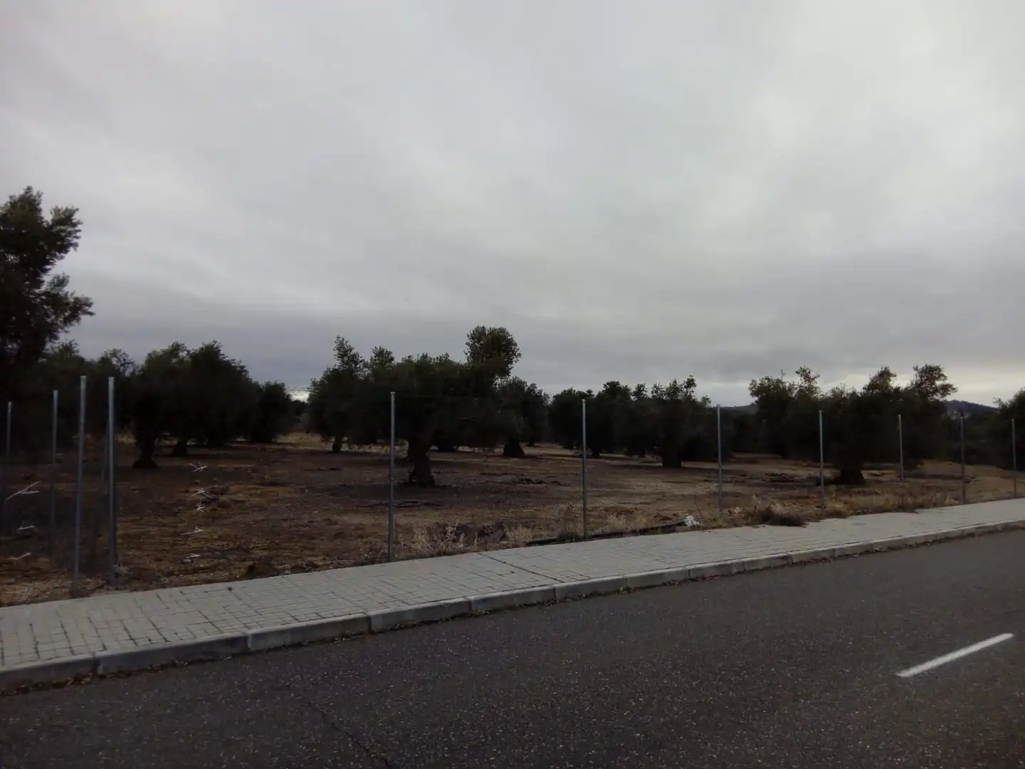 Terreno residencial en venta en Calle Rosalia de Castro 5D