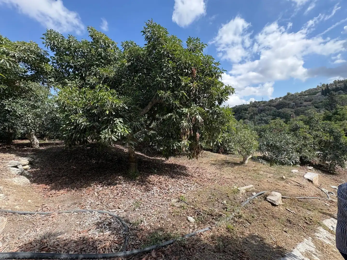 Casa rústica en venda a Coín, imagen 21