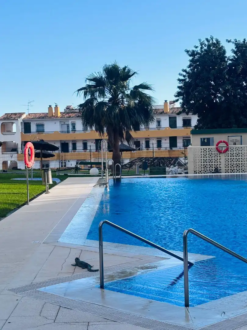 Studio with pool for sale in Calle las Naciones 6, imagen 12