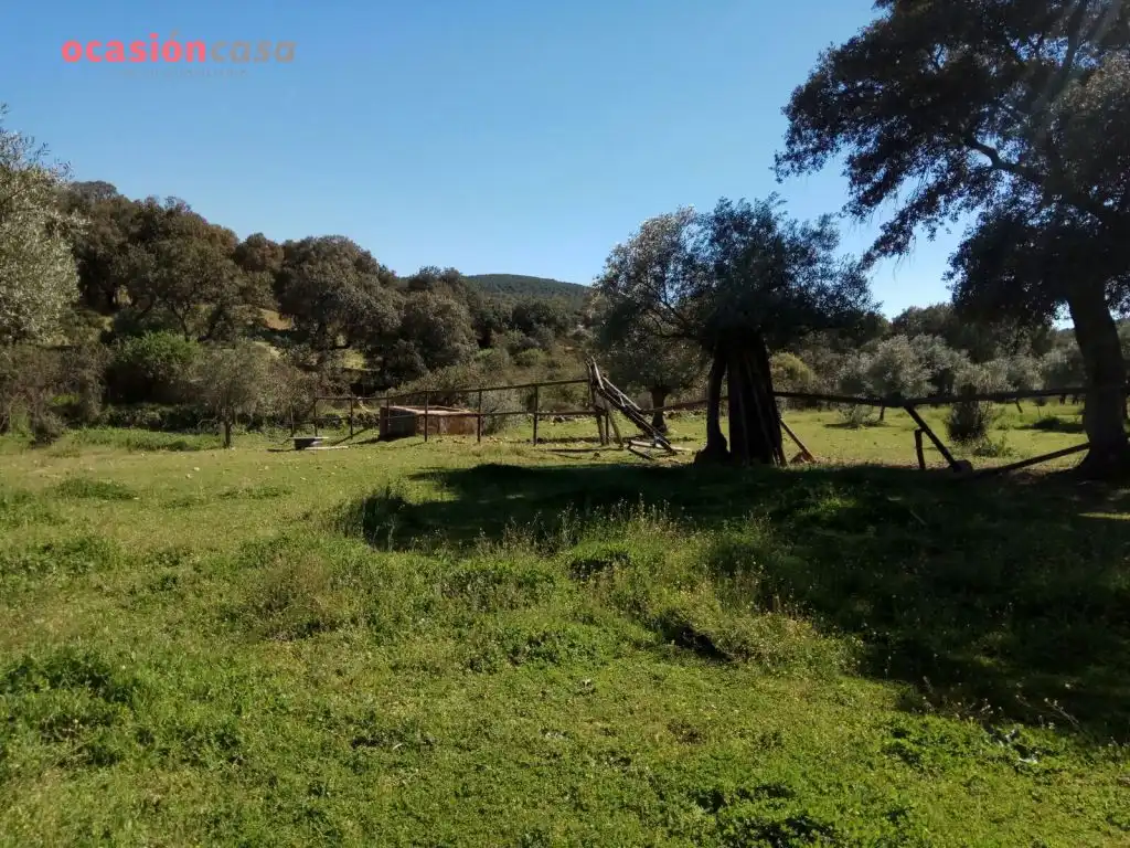 Villa mit Garten zum Verkauf in Pozoblanco, imagen 46