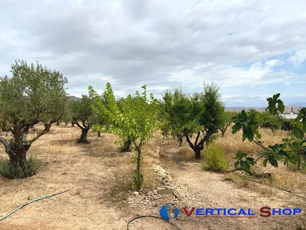 Wohnbaugrundstück zum Verkauf in Vereda Santa Ana, imagen 15