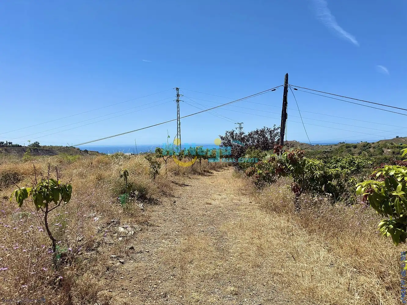 Finca rústica en venta en Vélez-Málaga