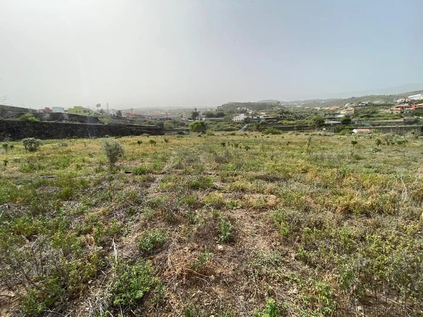 Rural land for sale in Calle la Yedra 59, imagen 9