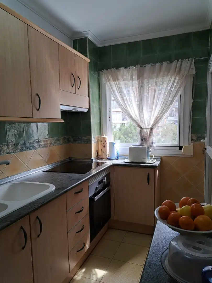 Kitchen of Apartments for sale in Benidorm  with Air Conditioner, Terrace and Furnished