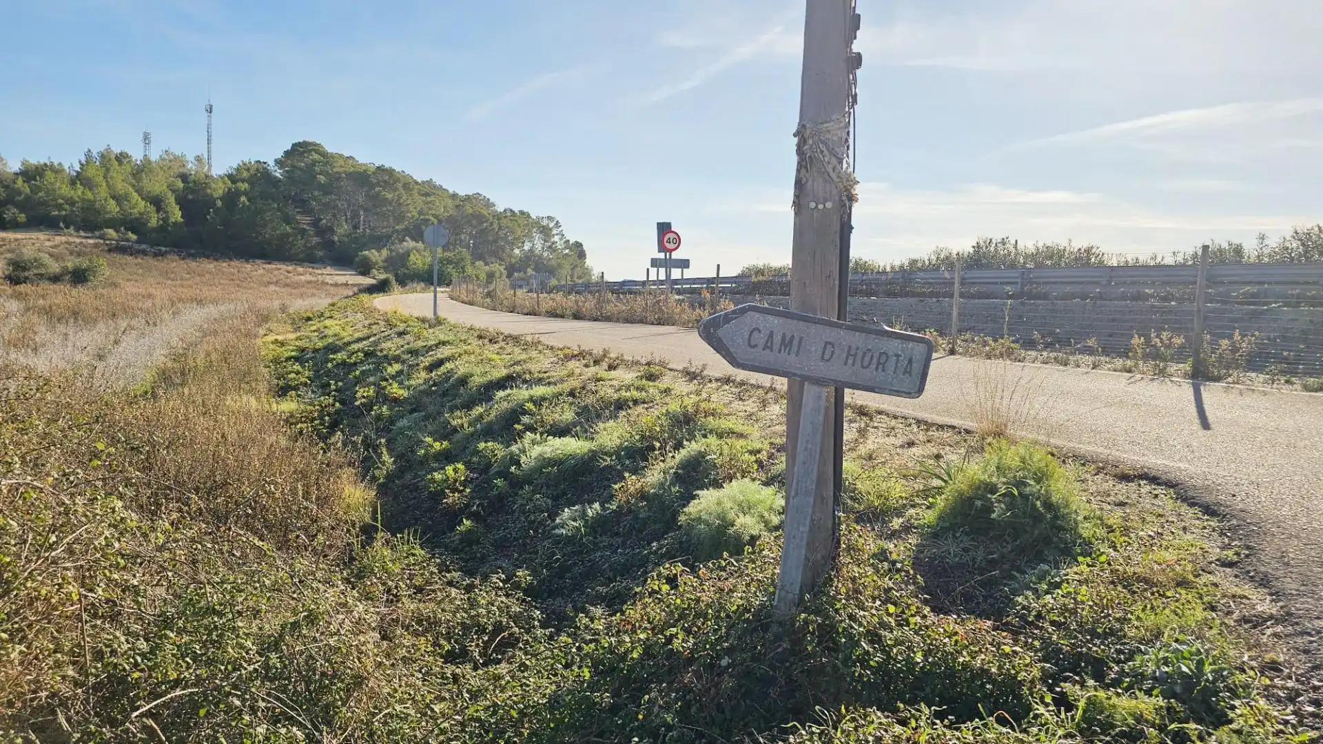 Rural land for sale in Sant Joan, imagen 2