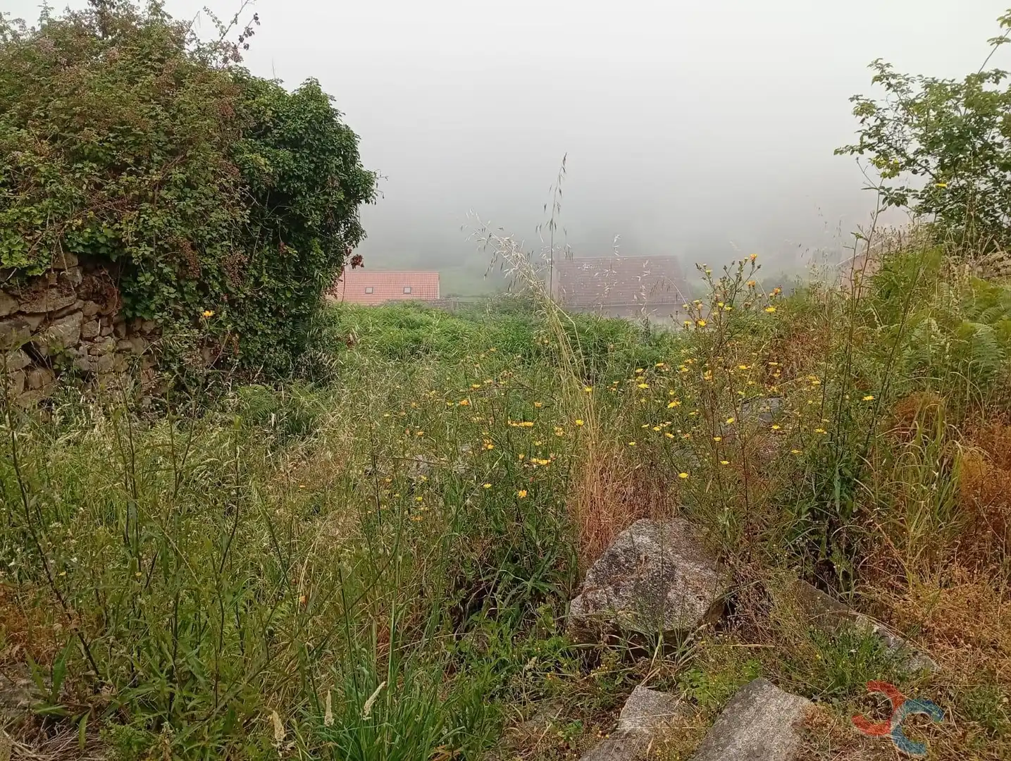 Country homes for sale in Marín