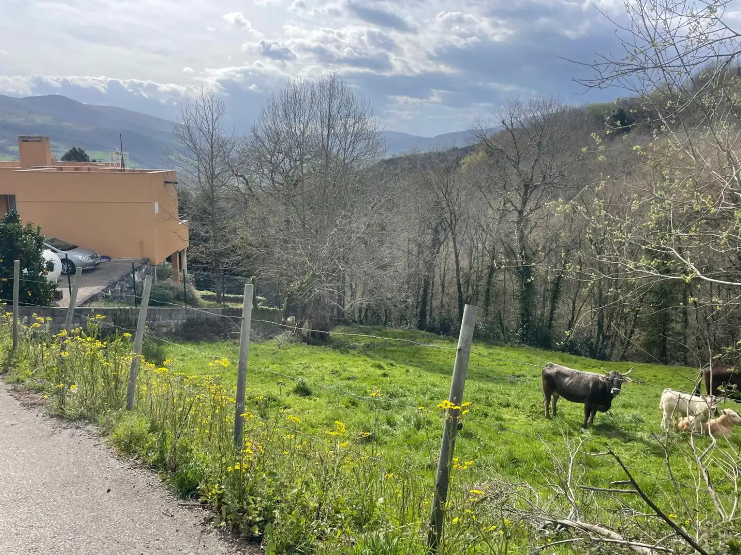 Terreni e lotti in vendita a Corvera de Toranzo, imagen 5