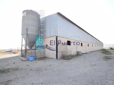 Terreny rústic en venda a Mazarrón Casco Urbano