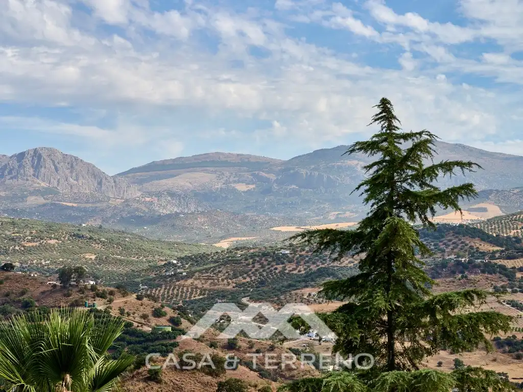 Casa o chalet en venta en Comares con Aire acondicionado, Terraza y Piscina