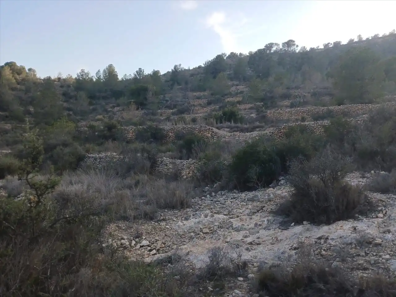Residential land for sale in Proc. Simplificado, imagen 13