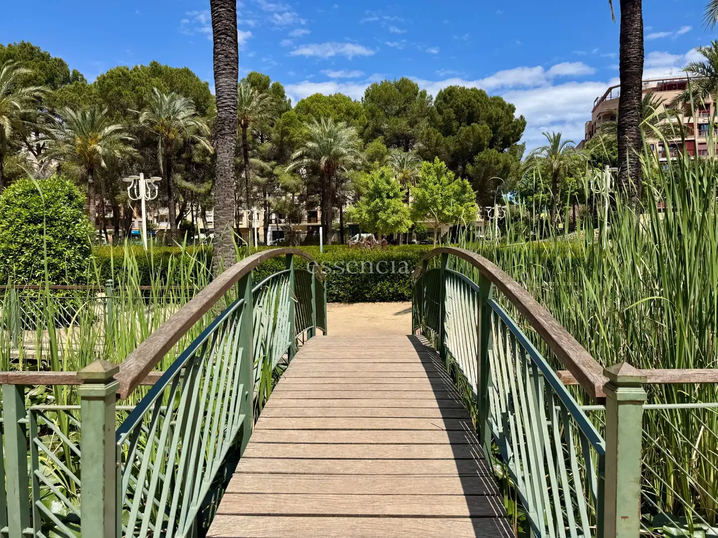 Jardín de Piso en venta en Gandia con Balcón