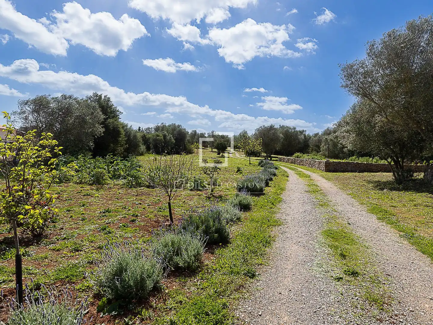 Finca rústica en venta en Manacor con Aire acondicionado, Calefacción y Jardín privado