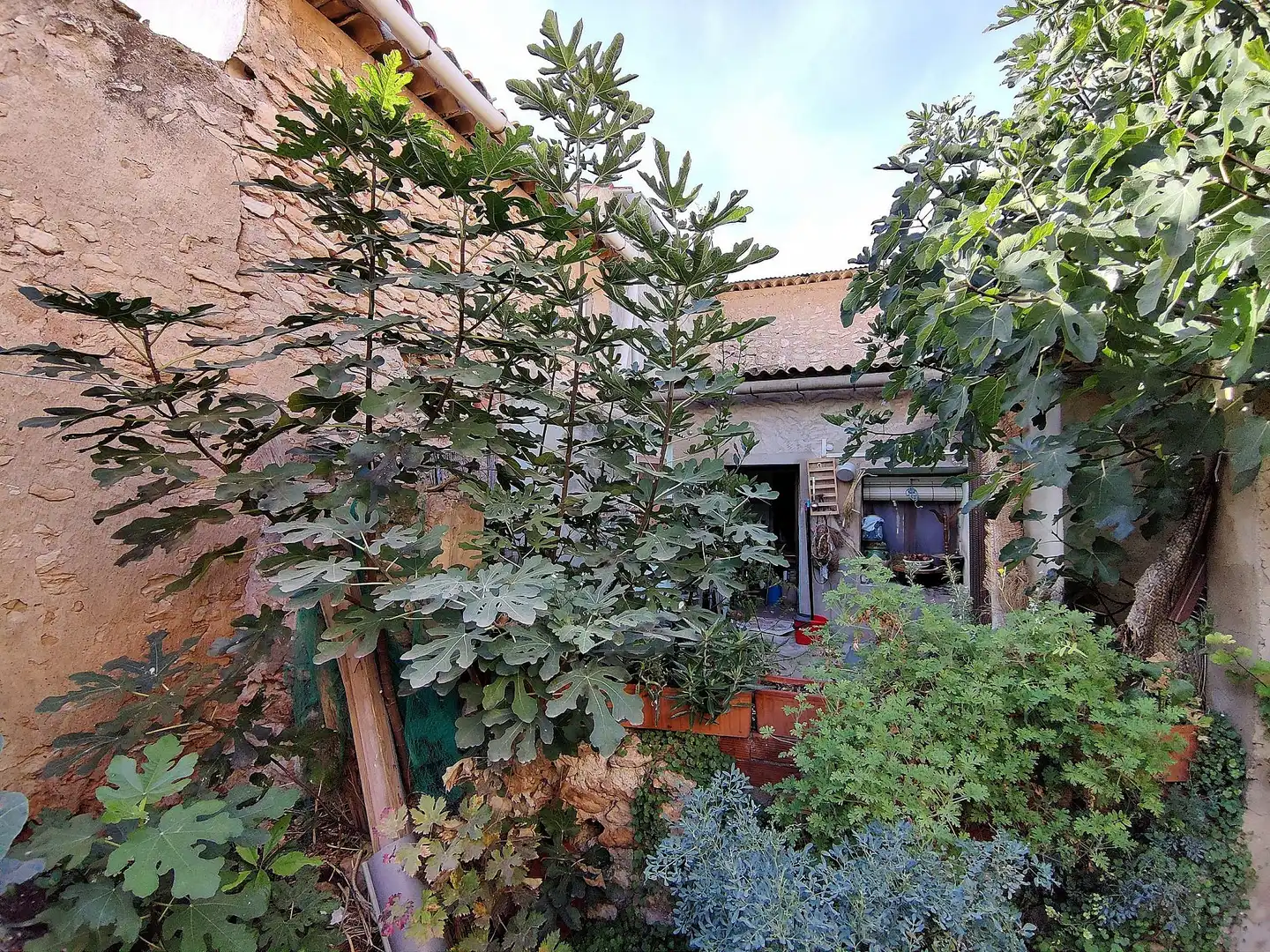 Country house for sale in Monóvar  / Monòver, imagen 24