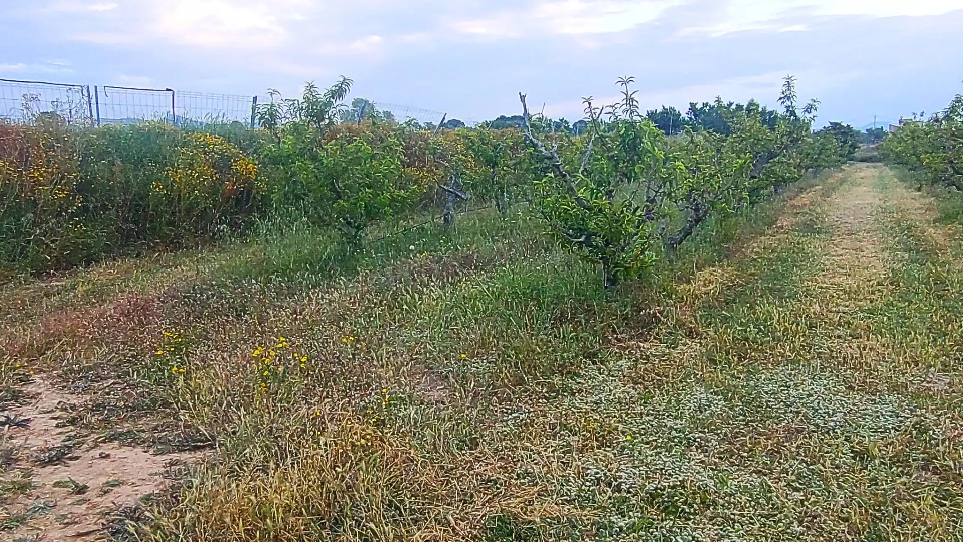 Terreno residenziale in vendita a Camino Nou, imagen 26