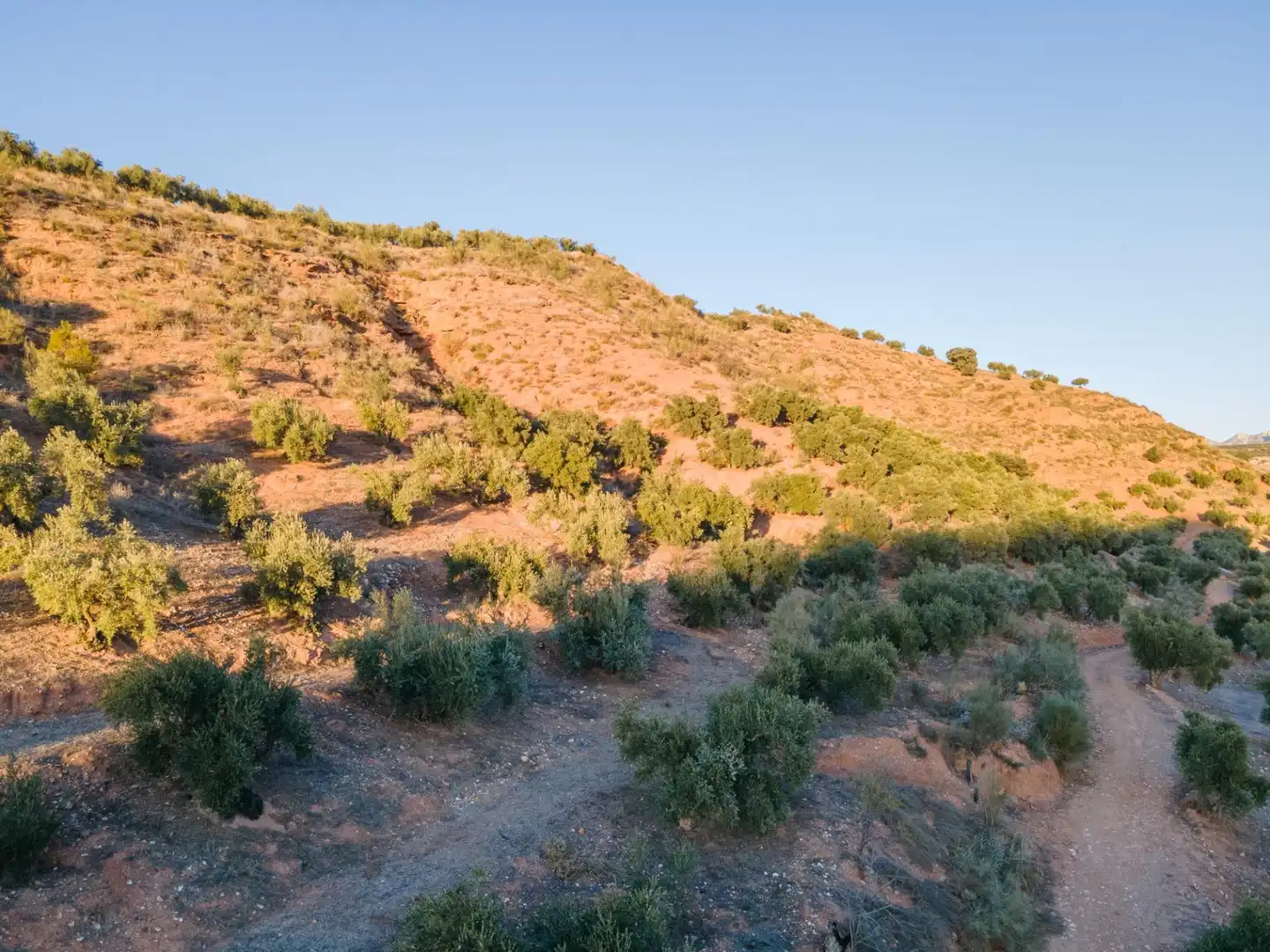 Terreno rustico in vendita a Calicasas, imagen 17