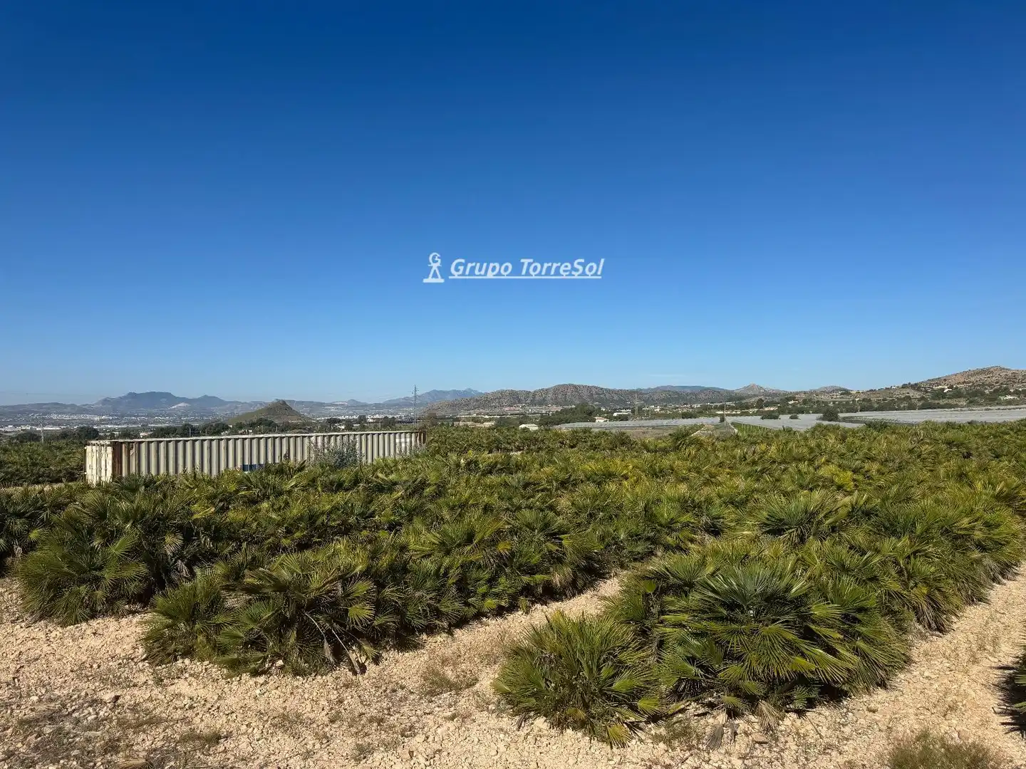 Land for sale in Monforte del Cid