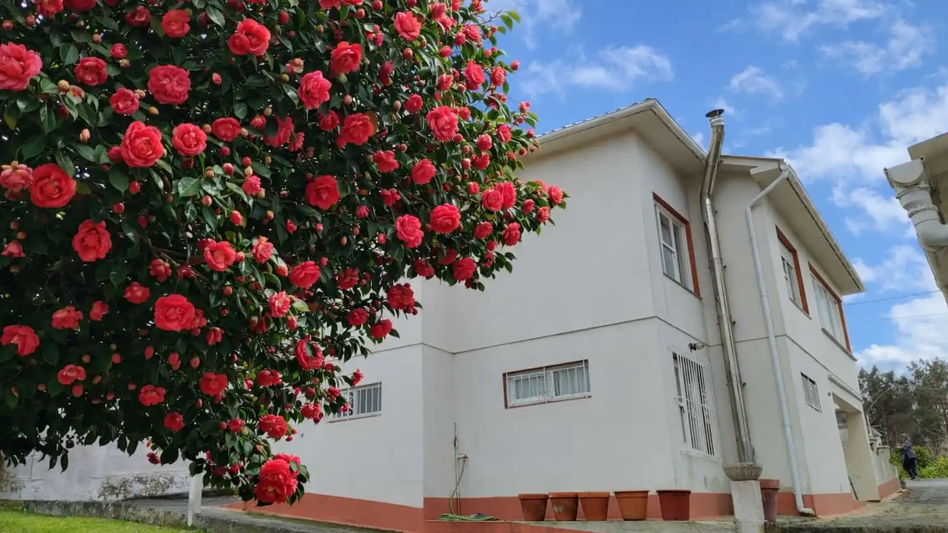 Haus oder Chalet zum Verkauf in Área Rural
