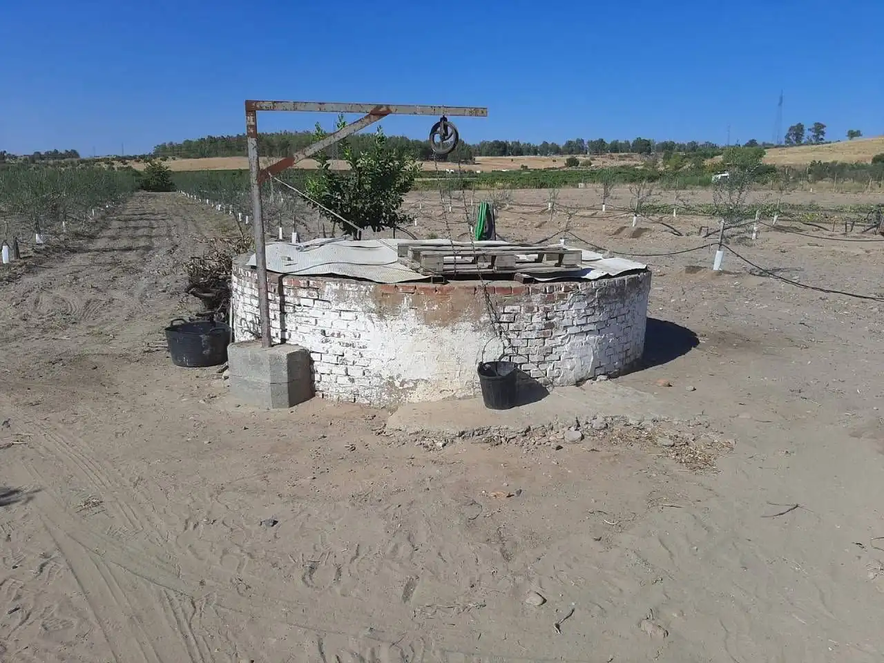 Casa o chalet en venta en Calamonte
