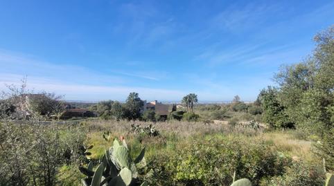 Foto 4 de Residencial en venda a Sa Cabaneta, Illes Balears