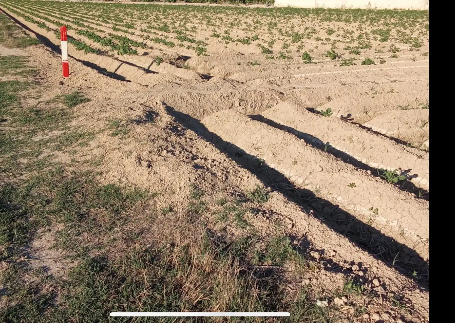 Finca rústica en venda en Orihuela amb Terrassa