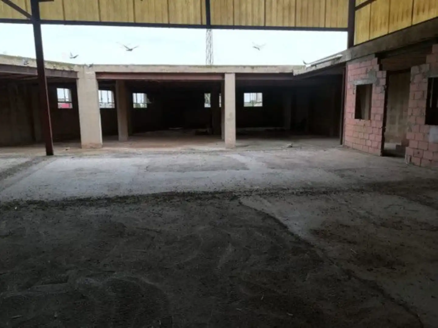 Local comercial en venda a Balsapintada - El Estrecho, imagen 3