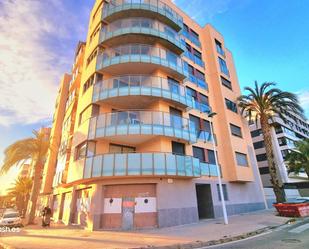 Planta baja for sale in Calle CELIA LOZANO, 18, Nou Altabix