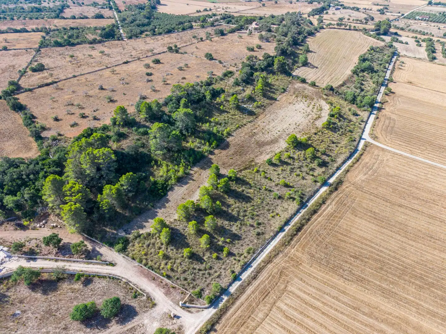 Residencial en venda en Petra