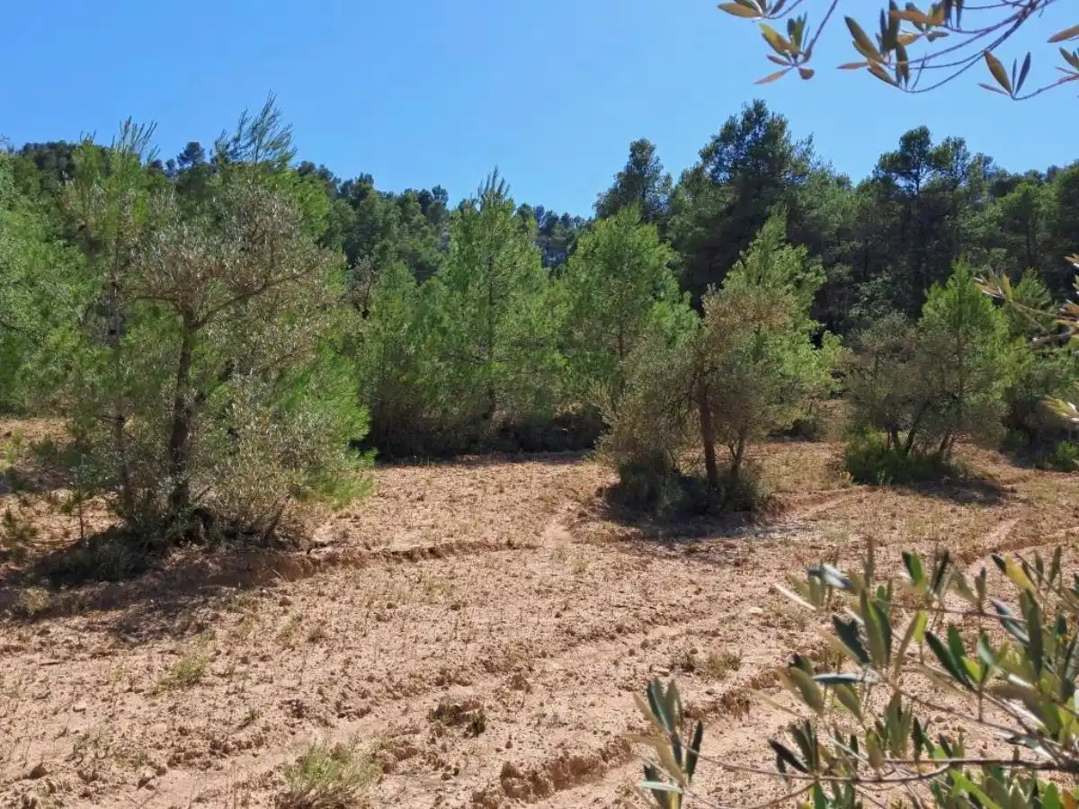 Terreni e lotti in vendita a Cretas, imagen 10
