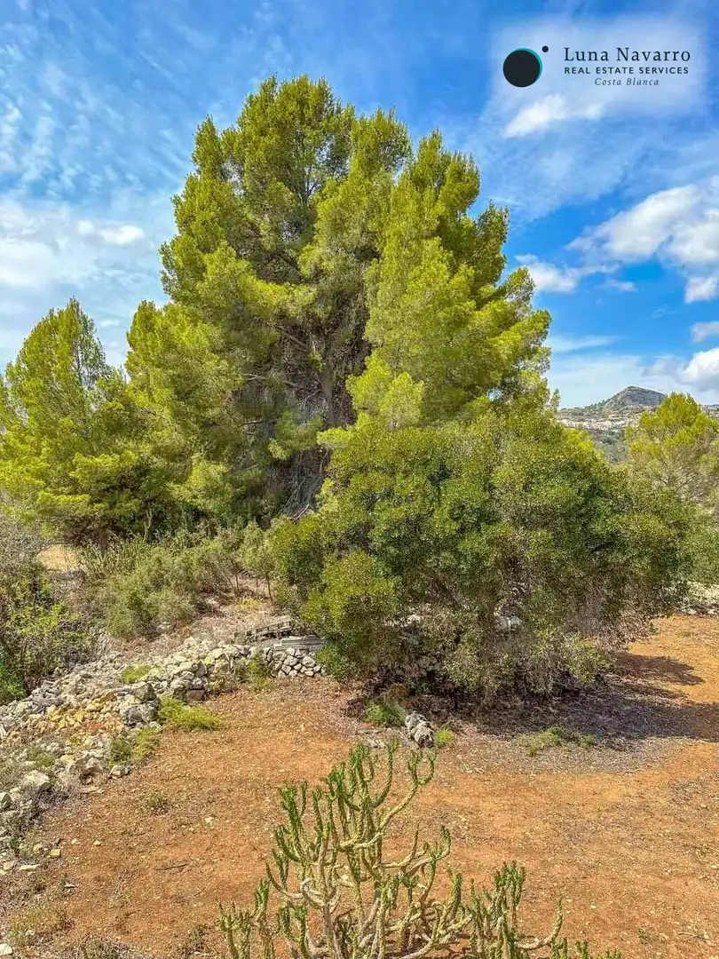 Casa o chalet en venta en Partida Figueral, Tàrbena