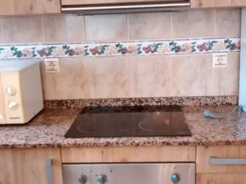 House with garden to rent in Calle Marinera Urb Riumar 2, imagen 12