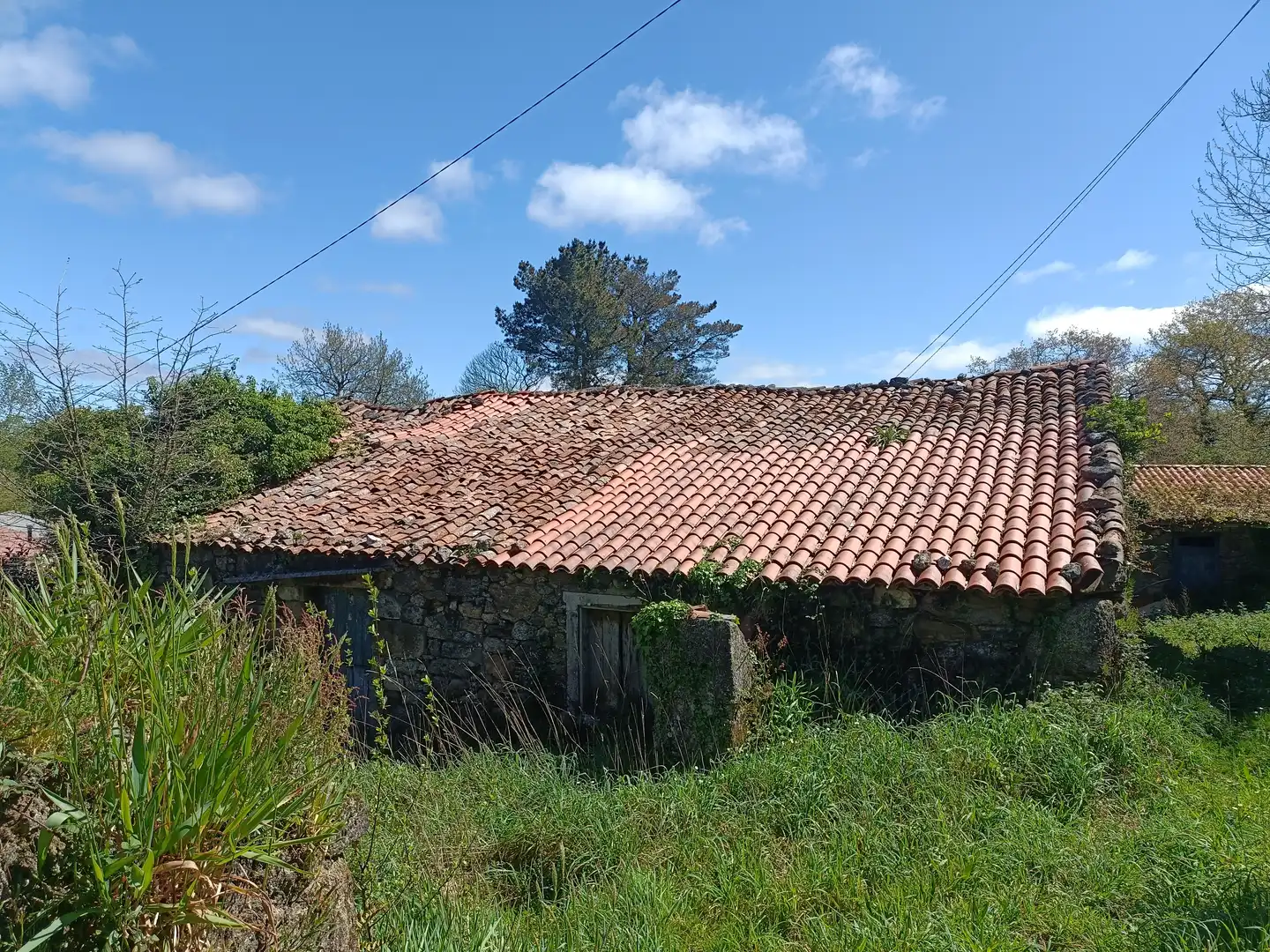 Casa con jardín en venta en Curtis, imagen 10