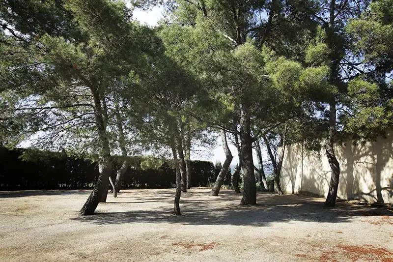 Jardín de Finca rústica en venta en Puigdàlber con Aire acondicionado, Calefacción y Jardín privado