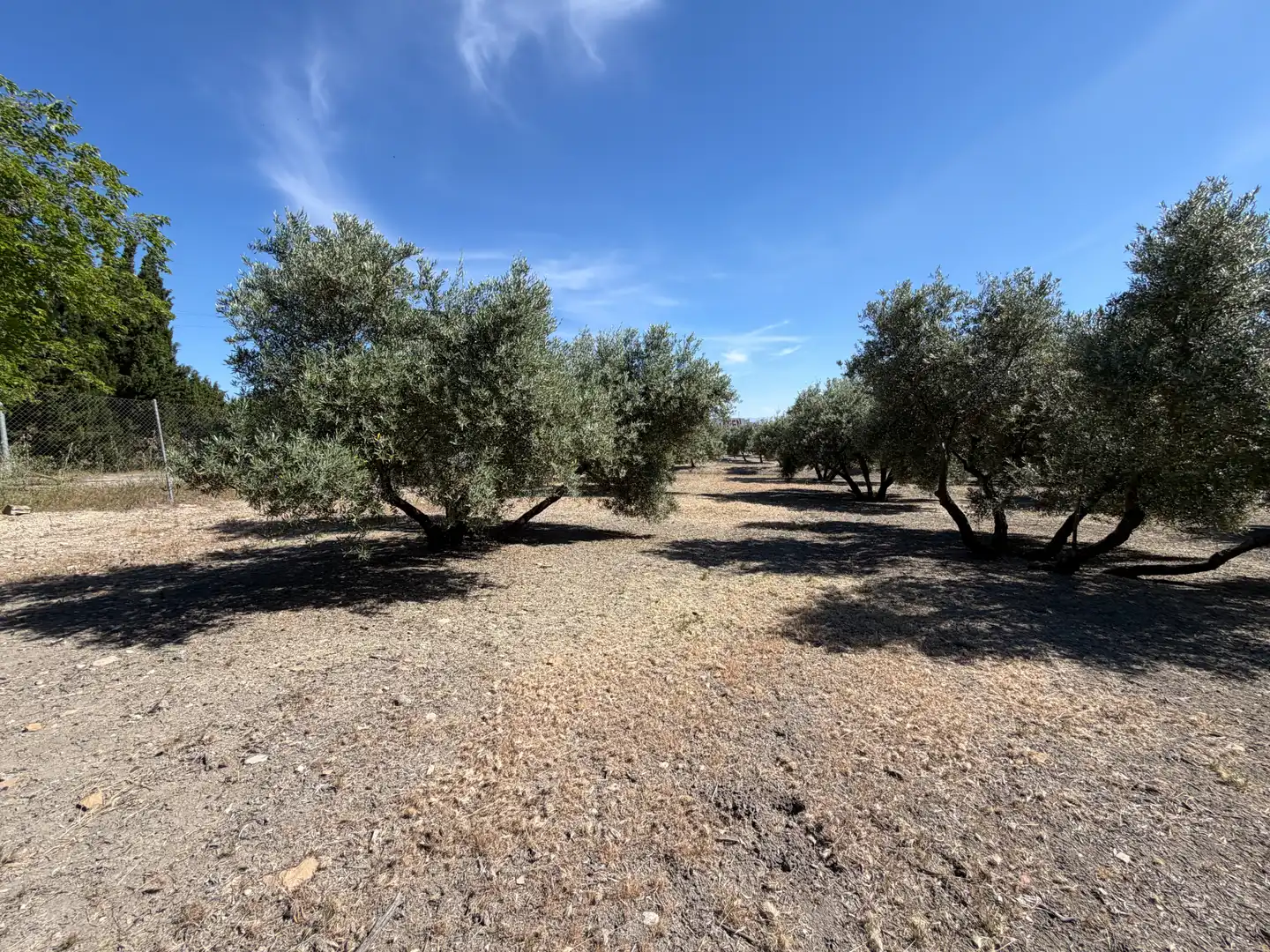 Terrenos y solares en venta en Carretera, imagen 8