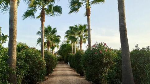 Photo 5 of Country house for sale in Villalba del Alcor, Huelva