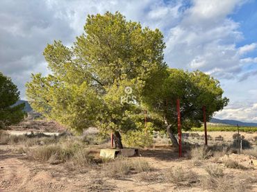 Terreno residencial en venta en Calle Zona Camino Yesares S/N