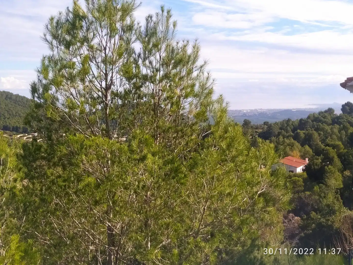 Villa con terrazza in vendita a Oliva pueblo, imagen 52