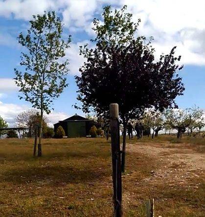 Terreno en Venta en Calle Aa, 7 en Illán de Vacas