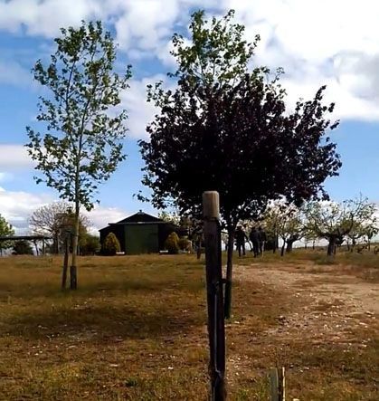 Land for sale in Calle Aa, 7, Illán de Vacas