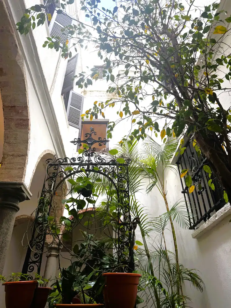 Àtic en venda a Tarifa ciudad, imagen 7