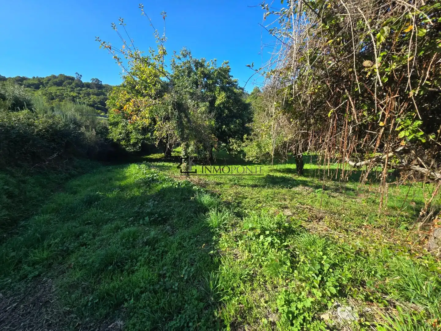 Casa o xalet en venda en Cerdedo amb Jardí privat