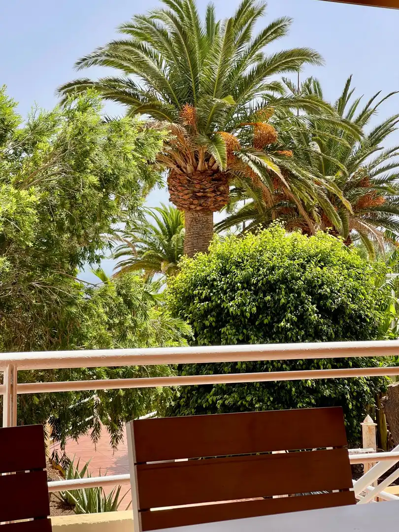 Balcony of Houses for rent in Radazul