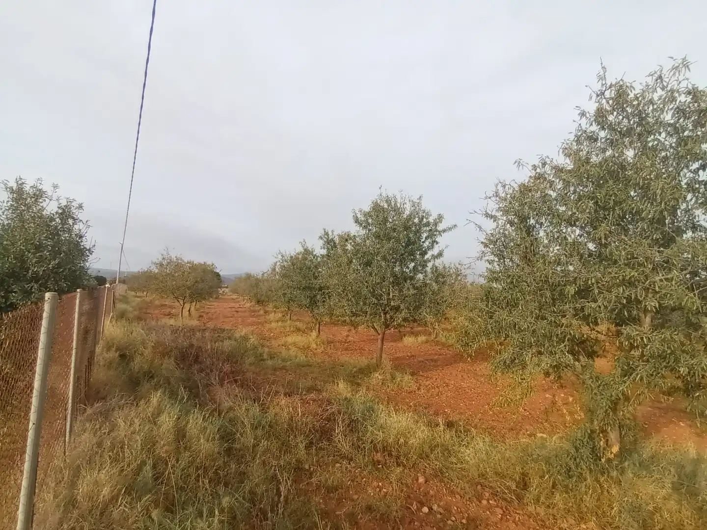 Terreny rústic en venda a Pedanías Oeste, imagen 12